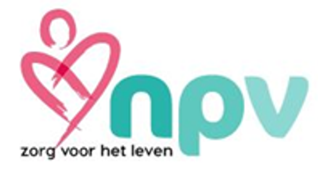 Logo NPV