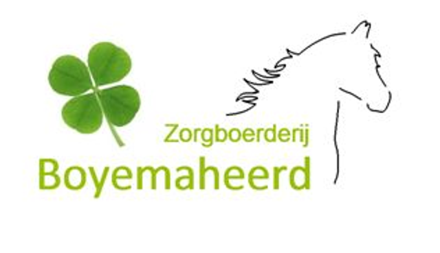 Boyemaheerd logo